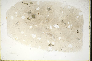 Plane Polarized, S84452