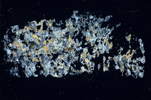 Cross Polarized, S84454
