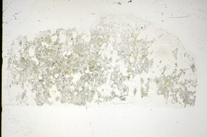 Plane Polarized, S84454