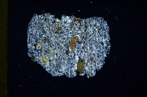 Cross Polarized, S84456