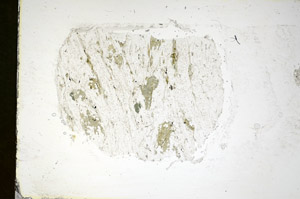 Plane Polarized, S84456