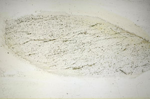 Plane Polarized, S84460
