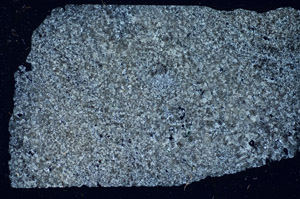 Cross Polarized, S84462
