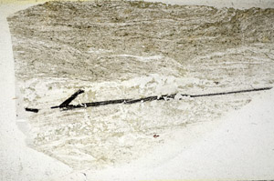 Plane Polarized, S84464