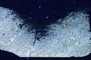 Cross Polarized, S84468