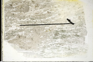 Plane Polarized, S84474