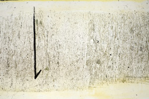 Plane Polarized, S84476