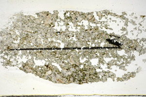 Plane Polarized, S84477