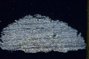 Cross Polarized, S84489