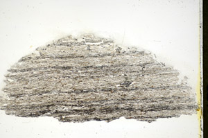 Plane Polarized, S84489