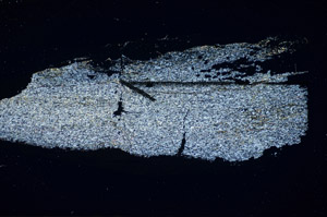 Cross Polarized, S84490