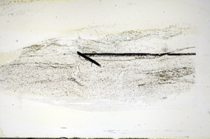 Plane Polarized, S84490