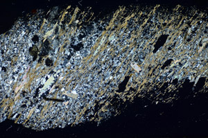 Cross Polarized, S84491