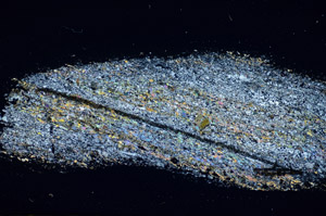 Cross Polarized, S84492