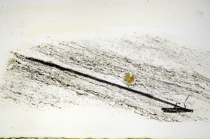 Plane Polarized, S84492