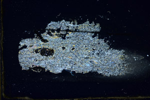 Cross Polarized, S84493