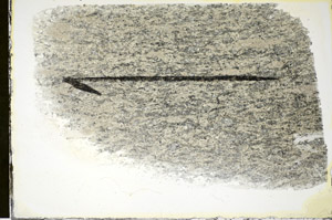 Plane Polarized, S84494