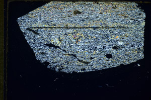 Cross Polarized, S84495