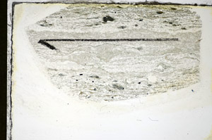 Plane Polarized, S84495