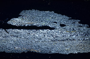 Cross Polarized, S84496