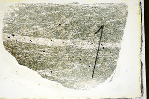 Plane Polarized, S84516