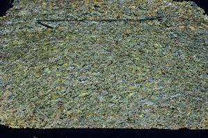 Cross Polarized, S84519