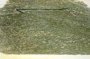 Plane Polarized, S84519