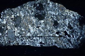 Cross Polarized, S84520