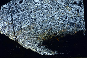 Cross Polarized, S84521