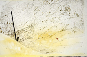 Plane Polarized, S84521