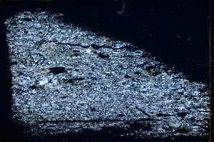 Cross Polarized, S84522