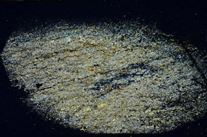 Cross Polarized, S84524