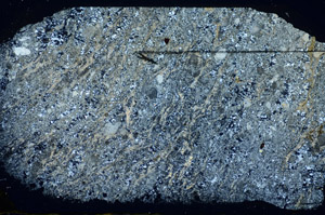 Cross Polarized, S84525