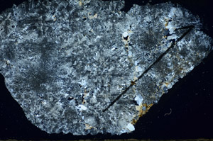 Cross Polarized, S84526