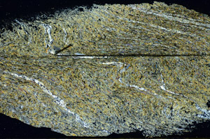 Cross Polarized, S84527