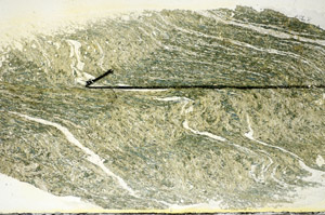 Plane Polarized, S84527