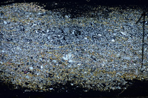 Cross Polarized, S84529