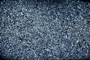 Cross Polarized, S84530