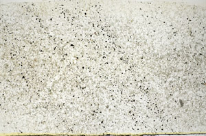 Plane Polarized, S84530