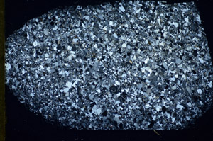 Cross Polarized, S84531