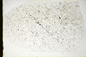 Plane Polarized, S84531