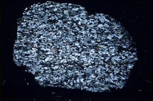 Cross Polarized, S84532