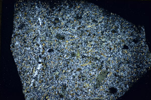 Cross Polarized, S84533