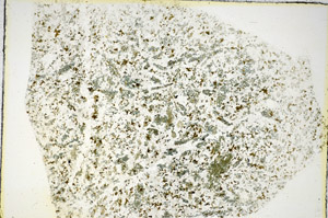 Plane Polarized, S84533