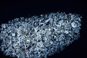 Cross Polarized, S84534