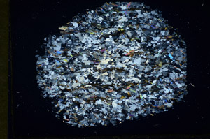 Cross Polarized, S84535