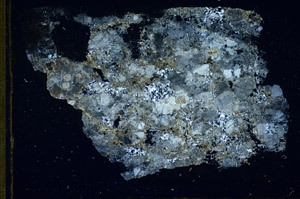 Cross Polarized, S84536