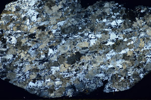 Cross Polarized, S84537