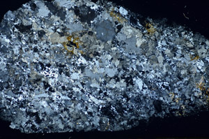 Cross Polarized, S84539