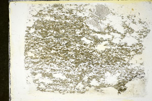 Plane Polarized, S84571